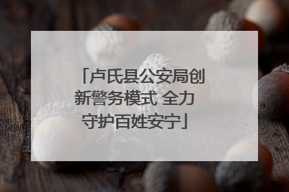 卢氏县公安局创新警务模式 全力守护百姓安宁
