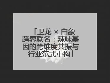 卫龙 × 白象跨界联名：辣味基因的跨维度共振与行业范式重构