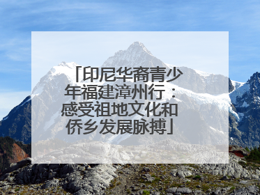 印尼华裔青少年福建漳州行：感受祖地文化和侨乡发展脉搏