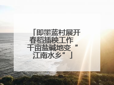即墨蓝村展开春稻插秧工作 千亩盐碱地变“江南水乡”