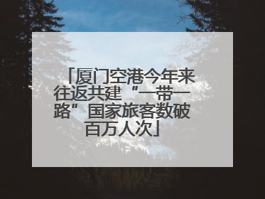 厦门空港今年来往返共建“一带一路”国家旅客数破百万人次