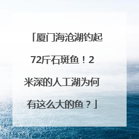厦门海沧湖钓起72斤石斑鱼！2米深的人工湖为何有这么大的鱼？