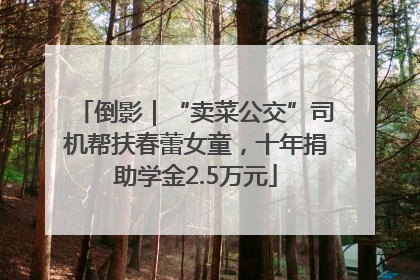 倒影｜“卖菜公交”司机帮扶春蕾女童，十年捐助学金2.5万元