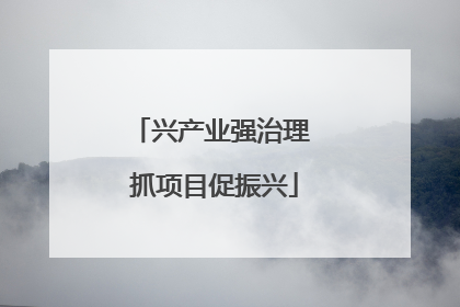 兴产业强治理 抓项目促振兴