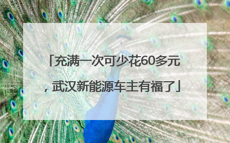 充满一次可少花60多元，武汉新能源车主有福了