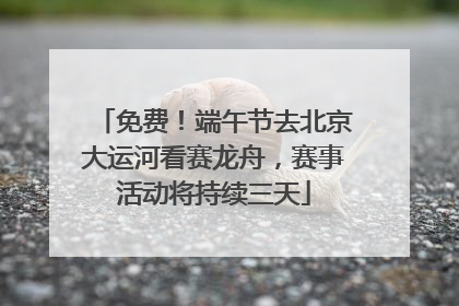 免费！端午节去北京大运河看赛龙舟，赛事活动将持续三天