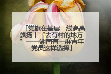 党旗在基层一线高高飘扬丨“去有村的地方”——湖南有一群青年党员这样选择