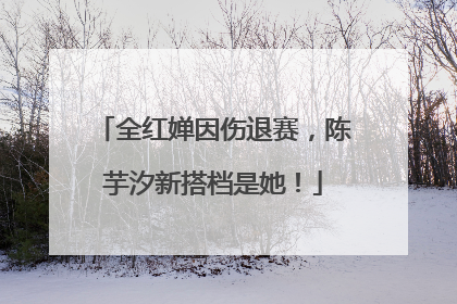 全红婵因伤退赛，陈芋汐新搭档是她！