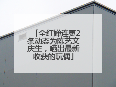 全红婵连更2条动态为陈艺文庆生，晒出最新收获的玩偶