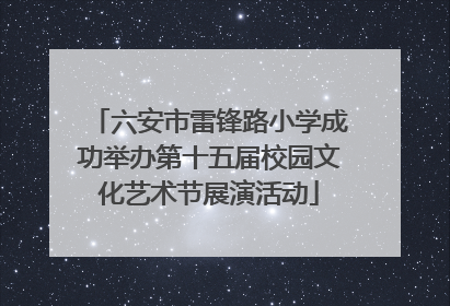 六安市雷锋路小学成功举办第十五届校园文化艺术节展演活动