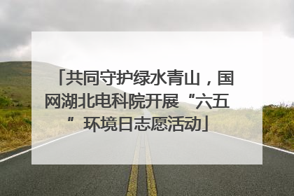 共同守护绿水青山，国网湖北电科院开展“六五”环境日志愿活动