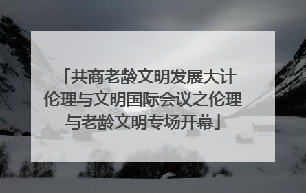 共商老龄文明发展大计 伦理与文明国际会议之伦理与老龄文明专场开幕