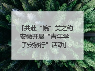 共赴“皖”美之约 安徽开展“青年学子安徽行”活动