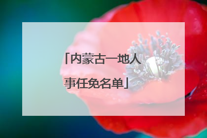 内蒙古一地人事任免名单