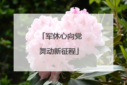 军休心向党 舞动新征程
