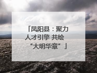 凤阳县：聚力人才引擎 共绘“大明华章”