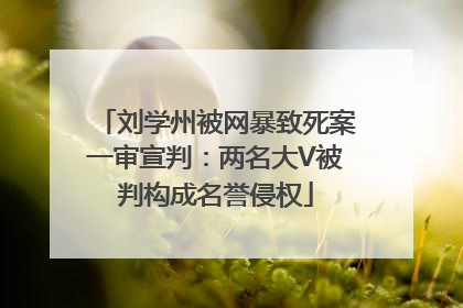 刘学州被网暴致死案一审宣判：两名大V被判构成名誉侵权