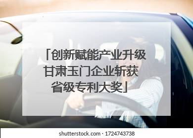 创新赋能产业升级 甘肃玉门企业斩获省级专利大奖