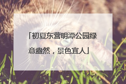 初夏东营明潭公园绿意盎然，景色宜人
