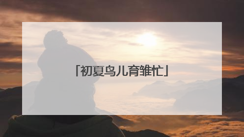 初夏鸟儿育雏忙