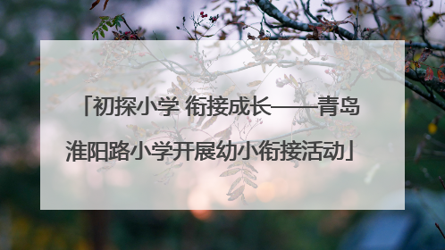 初探小学 衔接成长——青岛淮阳路小学开展幼小衔接活动