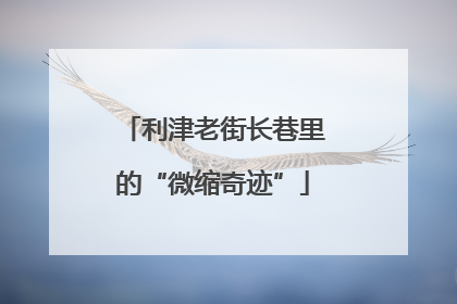 利津老街长巷里的“微缩奇迹”
