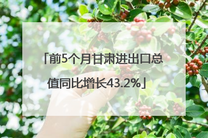前5个月甘肃进出口总值同比增长43.2%