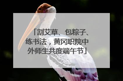 割艾草、包粽子、练书法，黄冈职院中外师生共度端午节