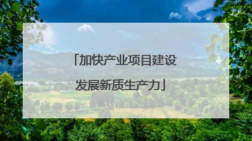 加快产业项目建设 发展新质生产力