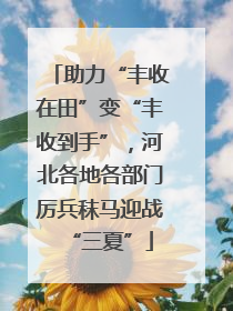 助力“丰收在田”变“丰收到手”，河北各地各部门厉兵秣马迎战“三夏”