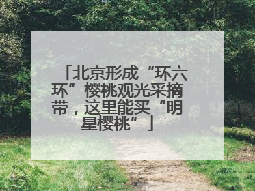 北京形成“环六环”樱桃观光采摘带，这里能买“明星樱桃”