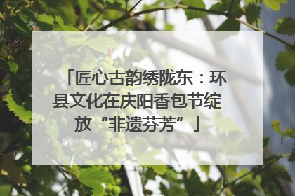 匠心古韵绣陇东：环县文化在庆阳香包节绽放“非遗芬芳”