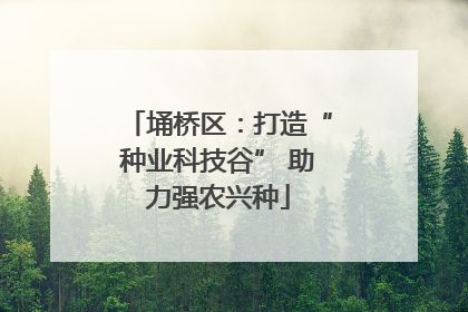 埇桥区：打造“种业科技谷” 助力强农兴种