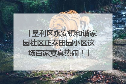 垦利区永安镇和谐家园社区正泰田园小区这场百家宴真热闹！