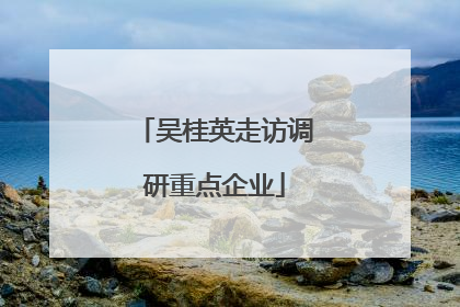 吴桂英走访调研重点企业