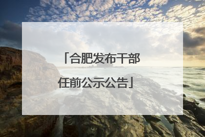 合肥发布干部任前公示公告