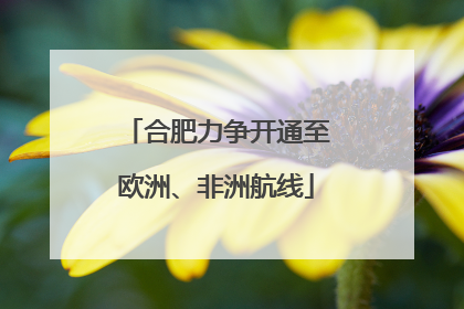 合肥力争开通至欧洲、非洲航线