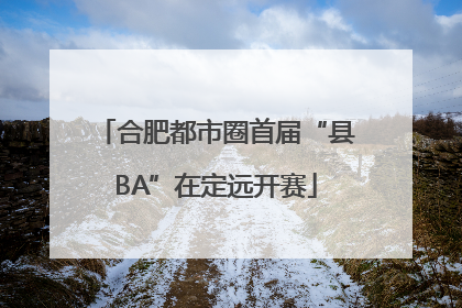 合肥都市圈首届“县BA”在定远开赛