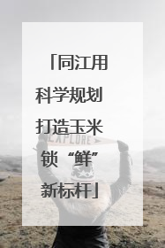 同江用科学规划打造玉米锁“鲜”新标杆