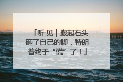 听·见｜搬起石头砸了自己的脚，特朗普终于“慌”了！