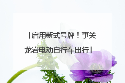 启用新式号牌！事关龙岩电动自行车出行