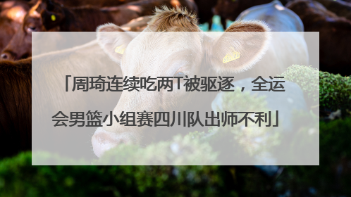 周琦连续吃两T被驱逐，全运会男篮小组赛四川队出师不利