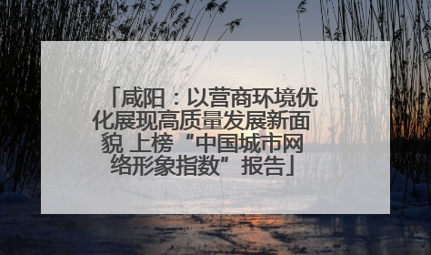 咸阳：以营商环境优化展现高质量发展新面貌 上榜“中国城市网络形象指数”报告