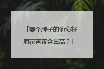 哪个牌子的葡萄籽原花青素含量高？