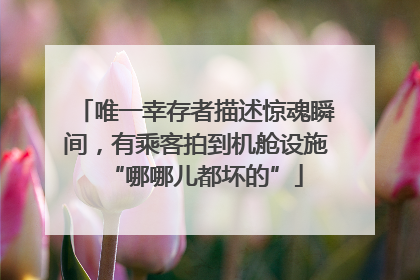 唯一幸存者描述惊魂瞬间，有乘客拍到机舱设施“哪哪儿都坏的”