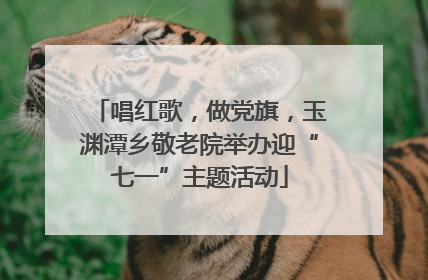 唱红歌，做党旗，玉渊潭乡敬老院举办迎“七一”主题活动
