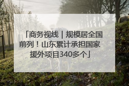 商务视线｜规模居全国前列！山东累计承担国家援外项目340多个