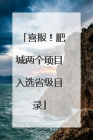 喜报！肥城两个项目入选省级目录