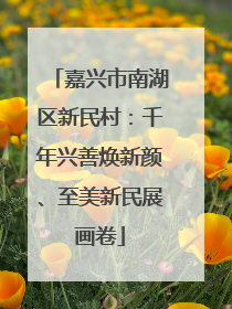 嘉兴市南湖区新民村：千年兴善焕新颜、至美新民展画卷
