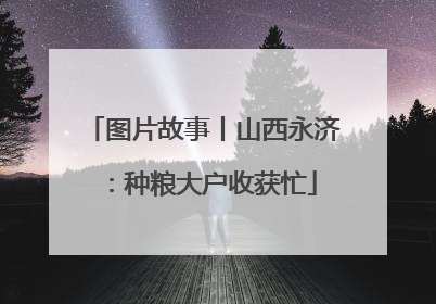 图片故事丨山西永济：种粮大户收获忙